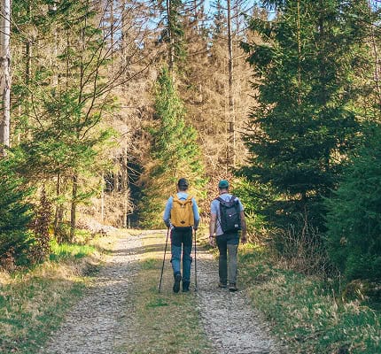 Two Men Walkthing Through Woods