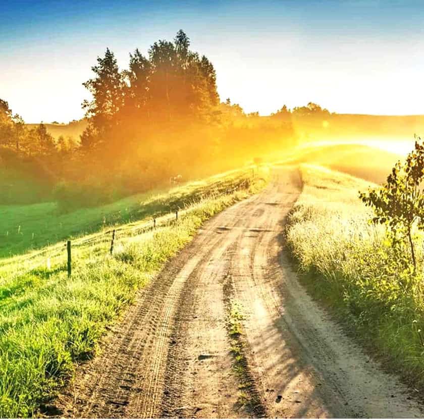 A path through a field